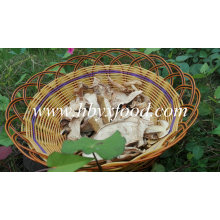 Dried White Button Porcini Mushroom with Market Price